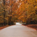 가을코스 이미지