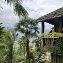 에콜로지 | 사파 락식 에코로지 Laxsik Ecolodge 숙박 후기 🏞