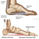 운동공간 정원 이미지