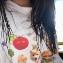 동화네민박 이미지