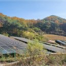 지내 태양광발전소 이미지