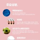 댕바이댕(DANG BY DANG) 이미지