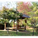 운남체육단지 이미지