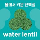 프롯