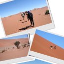 아프리카 트럭킹 Day 4 - 나미브 사막여행 (Namib Desert In Namibia) 이미지