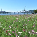 구리한강시민공원 이미지