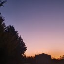 새벽노을 이미지