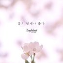 롱아일랜드