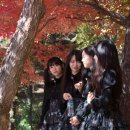 잠실중학교 이미지