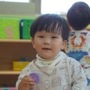 아마데우스악기 이미지