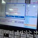 샤인 코티지 하우스 이미지