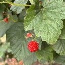 새터농장 이미지