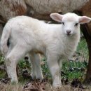 종로의원 이미지