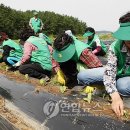 사창리마을회 이미지