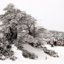 [꽃남 한승국의 조곤조곤 산행기 | 한라산] 이미지