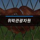 양지자원