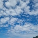 오션쁘띠엘라