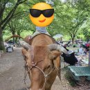 소소리농장 | 남양주 소소리 농장 3세 , 4세 아이랑 후기