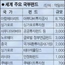 중동차이나 이미지