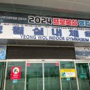 버팔로 복싱 이미지