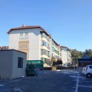 야탑로245번길 이미지