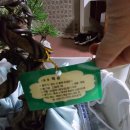 백승진농장 네이버블로그