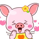 스텝백신발 이미지