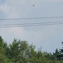 하동소방서 이미지