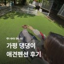 댕댕이애견 | 가평 댕댕이애견펜션 실버 비숑3 객실 후기