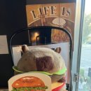 한교맛집 이미지