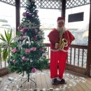 수정골맑은한우식당 이미지