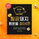 에넥스 이미지