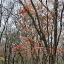 한라산 백록담의 늦가을속의 눈꽃세상(첫눈맞이 산행) 이미지