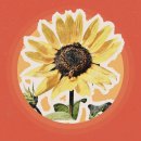 Nature mood house 이미지