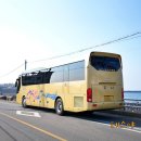 너무 편한 제주도 대형버스 대절 부담 없이 다녀온 제주 워크숍 후기