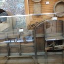 전라북도 산림박물관 이미지