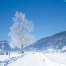 도령여관 이미지