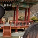 [D+40] 육군3사관학교 입학식 후기 / 영천 꽃집 상일꽃화원 후기