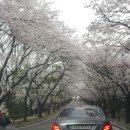호암자동차