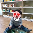 스콜라몬테소리 이미지
