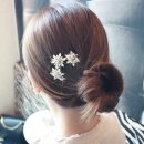 H0008 이미지