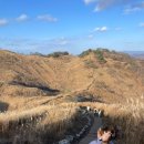 산과 자연의 쉼터 | 작년 가을 민둥산 최단코스 등산 다녀온 아찔한 후기ㅣ거북이쉼터ㅣft. 독수리