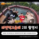 또올래분식 - 군포시 금산로33번길 7 | [라면먹고올래 2회 촬영지] 수봉공원 스카이워크부터 교실 감성 분식집까지 인천 추억 여행 feat. 수봉...