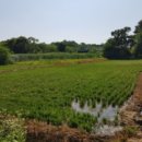 전대1리마을회관 이미지