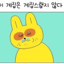 홍천해물찜 이미지