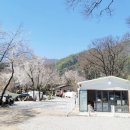딥포레스트 이미지