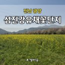 봄물결 | 🌼 광양 섬진강 유채꽃단지 봄 나들이 후기 | 노란 물결에 힐링한 하루