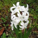 남창농장 이미지