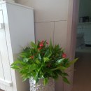 남구-046 이미지