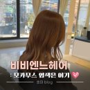 나영헤어필링미용실 | 창원미용실 비비엔느헤어 상남점 나영디렉터 너무 만족스러운 모카브라운 염색 후기